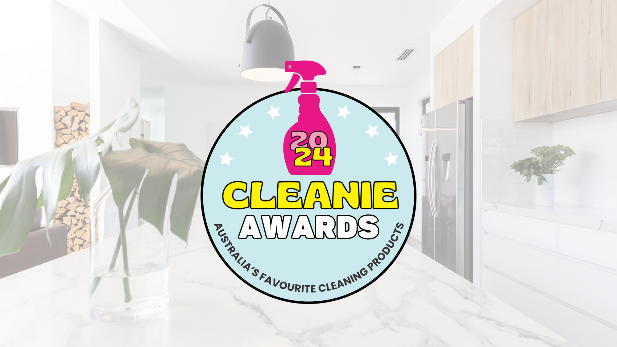 Cleanie Awards 2024! And the Winners Are…