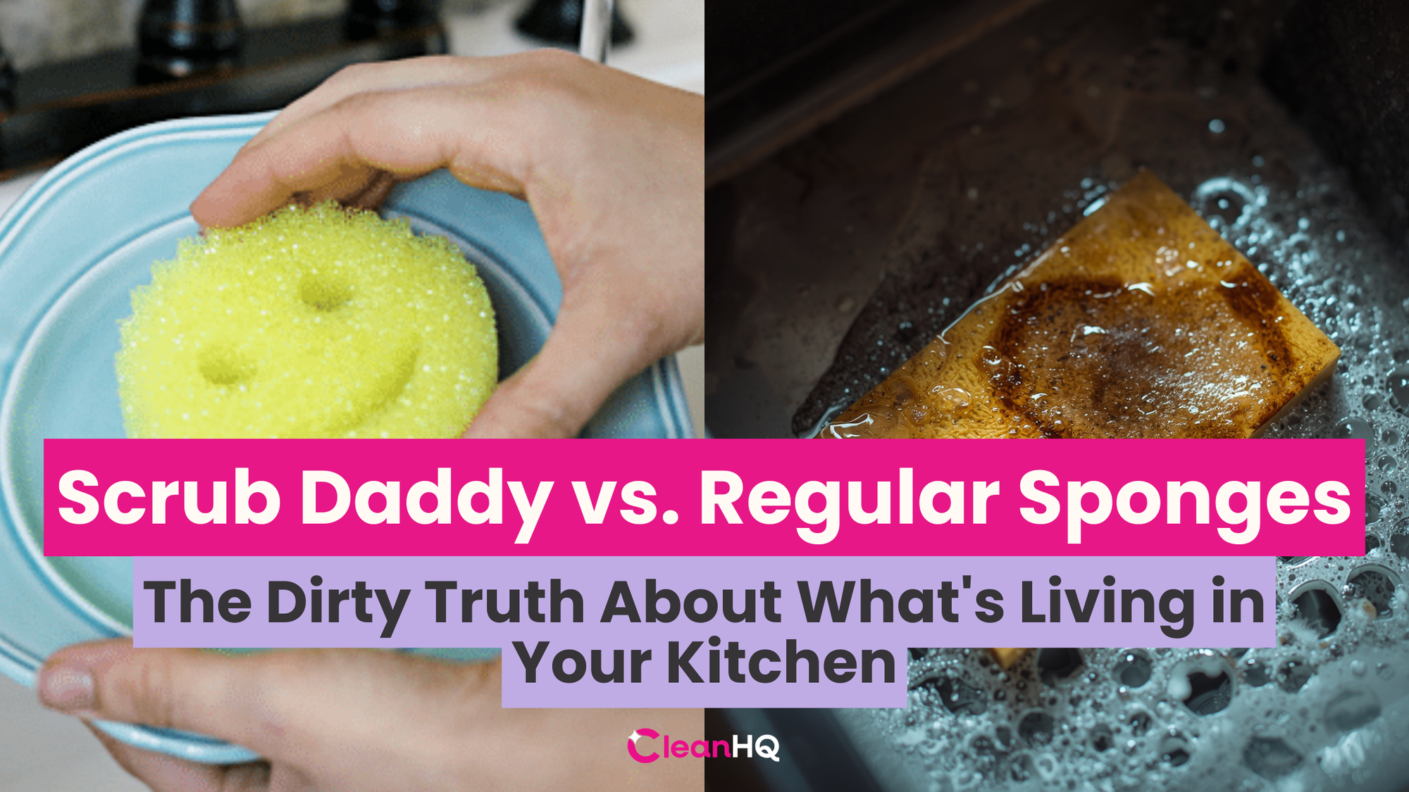 Scrub Daddy vs. Regular Sponges: The Dirty Truth About What's Living in Your Kitchen
